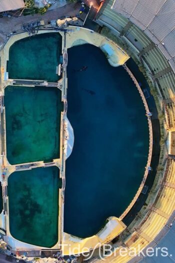 tank marineland france tank marineland france