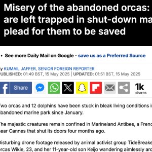 Daily Mail article about TideBreakers and Marineland Antibes