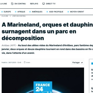 France 24 article about tidebreakers