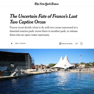 New York Times article about TideBreakers