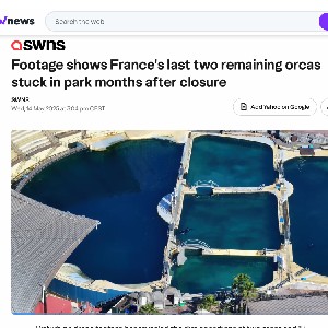 Yahoo news Tidebreakers